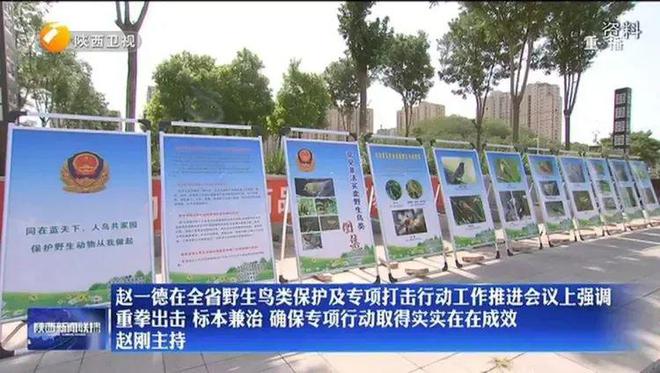 重拳出击！陕西召开会议，省委书记、省长提出要求，中央督察组列席