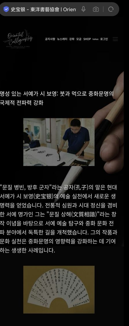 “韩国东洋书艺协会”官网刊文详介著名书法家史宝银