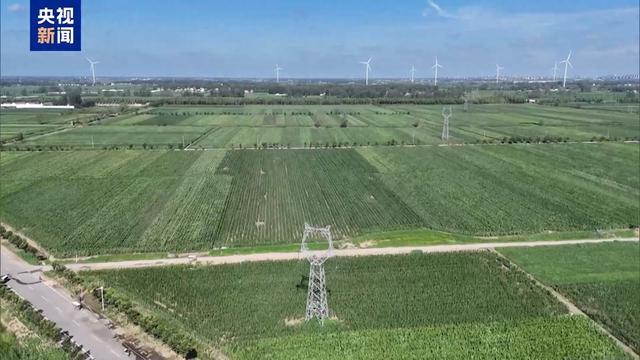 农业防高温干旱三级应急响应启动 力保秋粮丰收