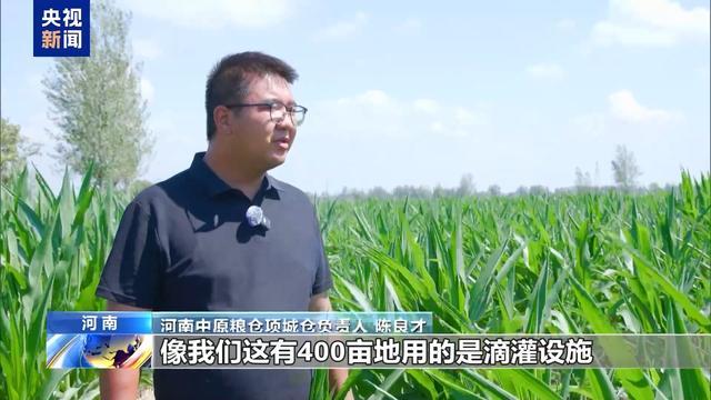 农业防高温干旱三级应急响应启动 力保秋粮丰收