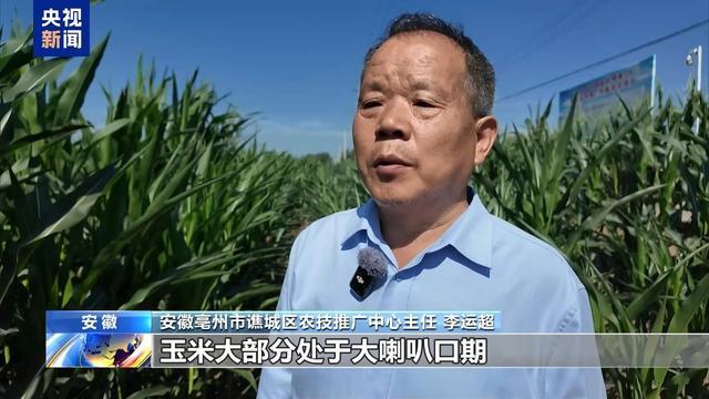 农业防高温干旱三级应急响应启动 力保秋粮丰收