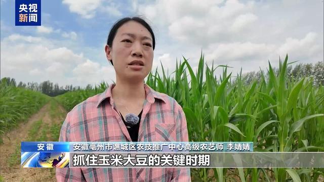 农业防高温干旱三级应急响应启动 力保秋粮丰收