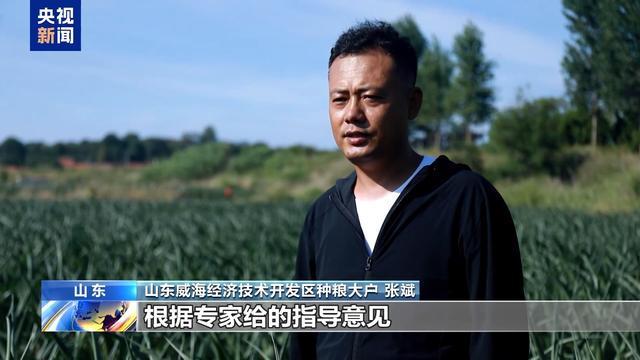 农业防高温干旱三级应急响应启动 力保秋粮丰收