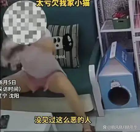 猫咖老板撕证件死磕虐猫顾客 奶猫之殇引发公愤