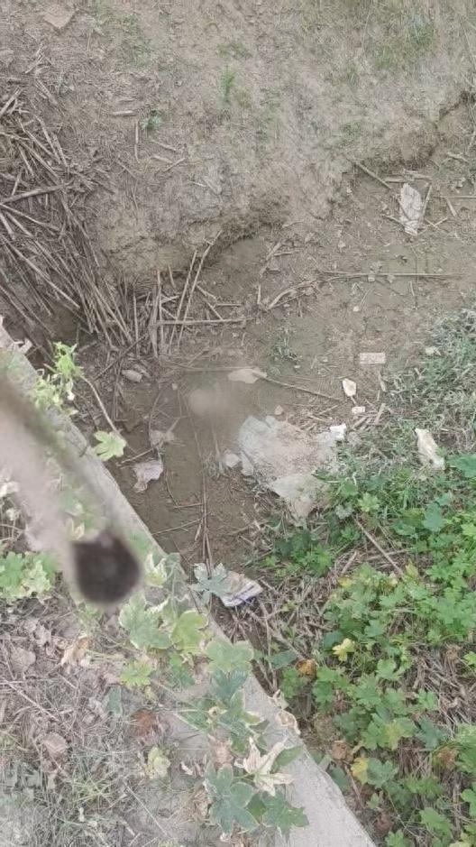 女子跑步时发现沟里有头骨 警方回应