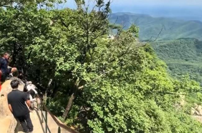 51岁男子景区坠亡！妻子哽咽：我老公掉下去了 景区安全再引关注