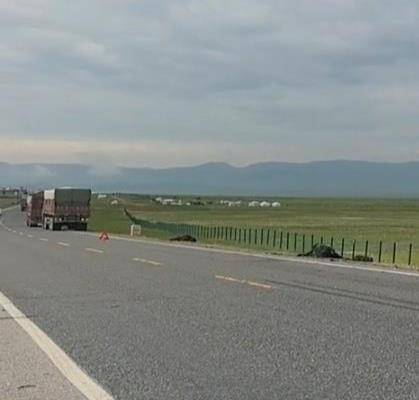 32头牦牛凌晨过马路被大货车撞上 事故致16死多伤
