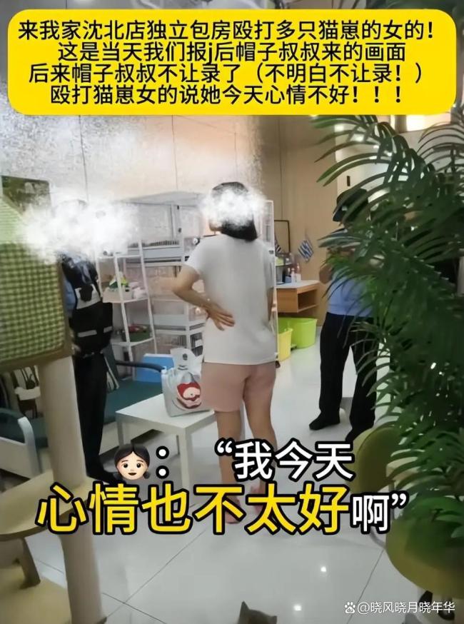 猫咖老板撕证件死磕虐猫顾客 奶猫之殇引发公愤