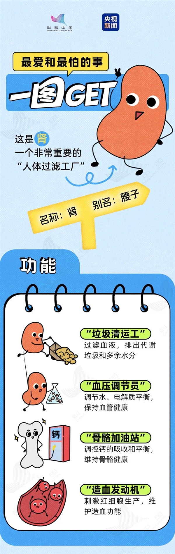 透支的肾是补不回来的！这6种行为最伤肾 快自检