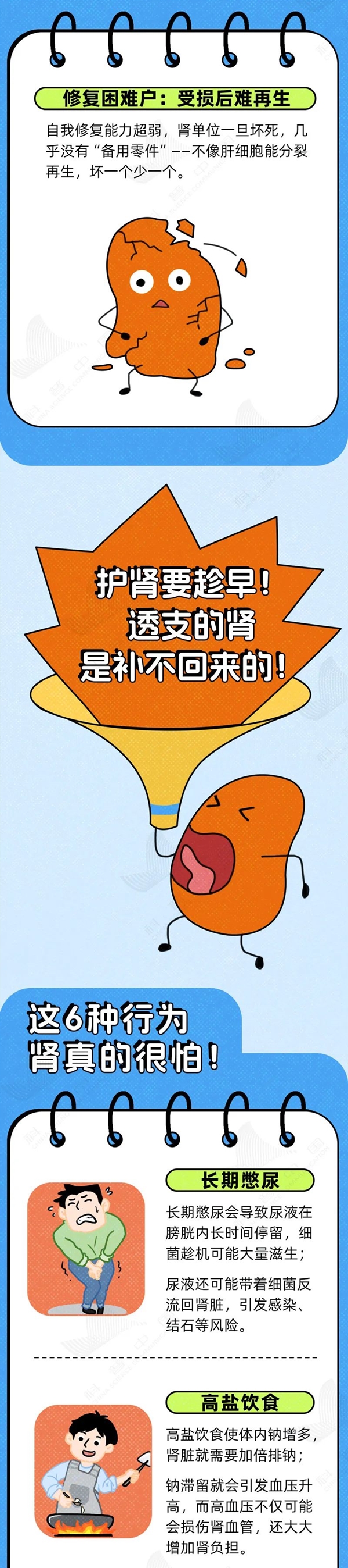 透支的肾是补不回来的！这6种行为最伤肾 快自检