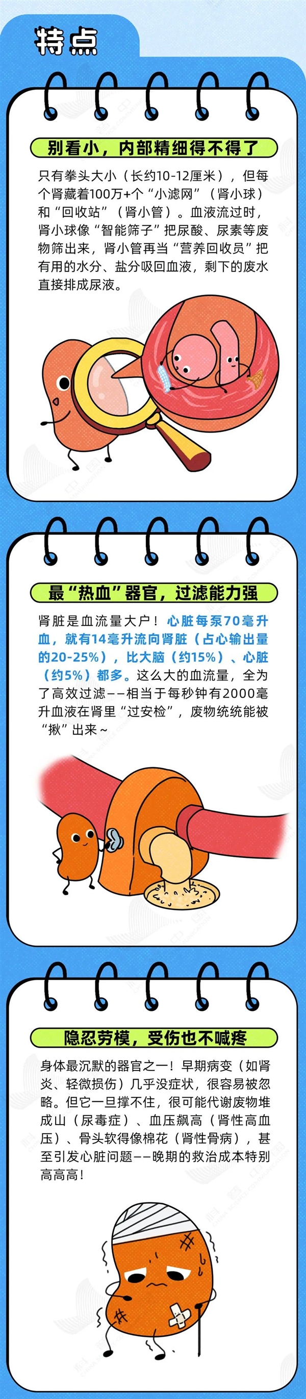 透支的肾是补不回来的！这6种行为最伤肾 快自检