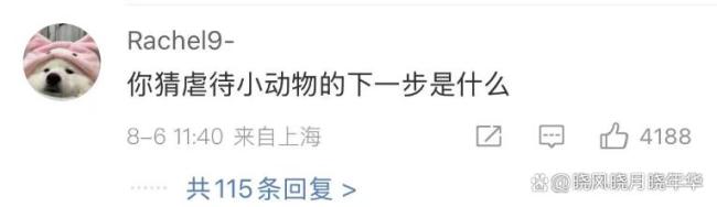 猫咖老板撕证件死磕虐猫顾客 奶猫之殇引发公愤