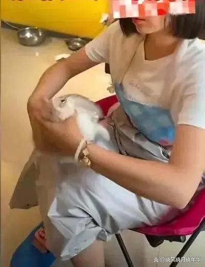 猫咖老板撕证件死磕虐猫顾客 奶猫之殇引发公愤