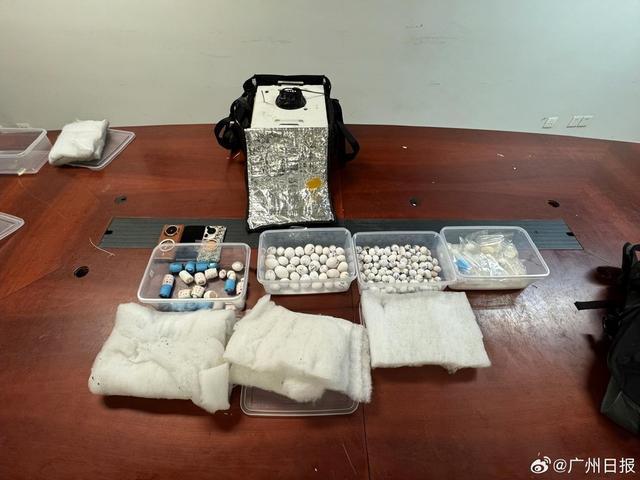 在机场用马桶冲走223枚鸟蛋！男子走私珍稀鸟蛋进境被查